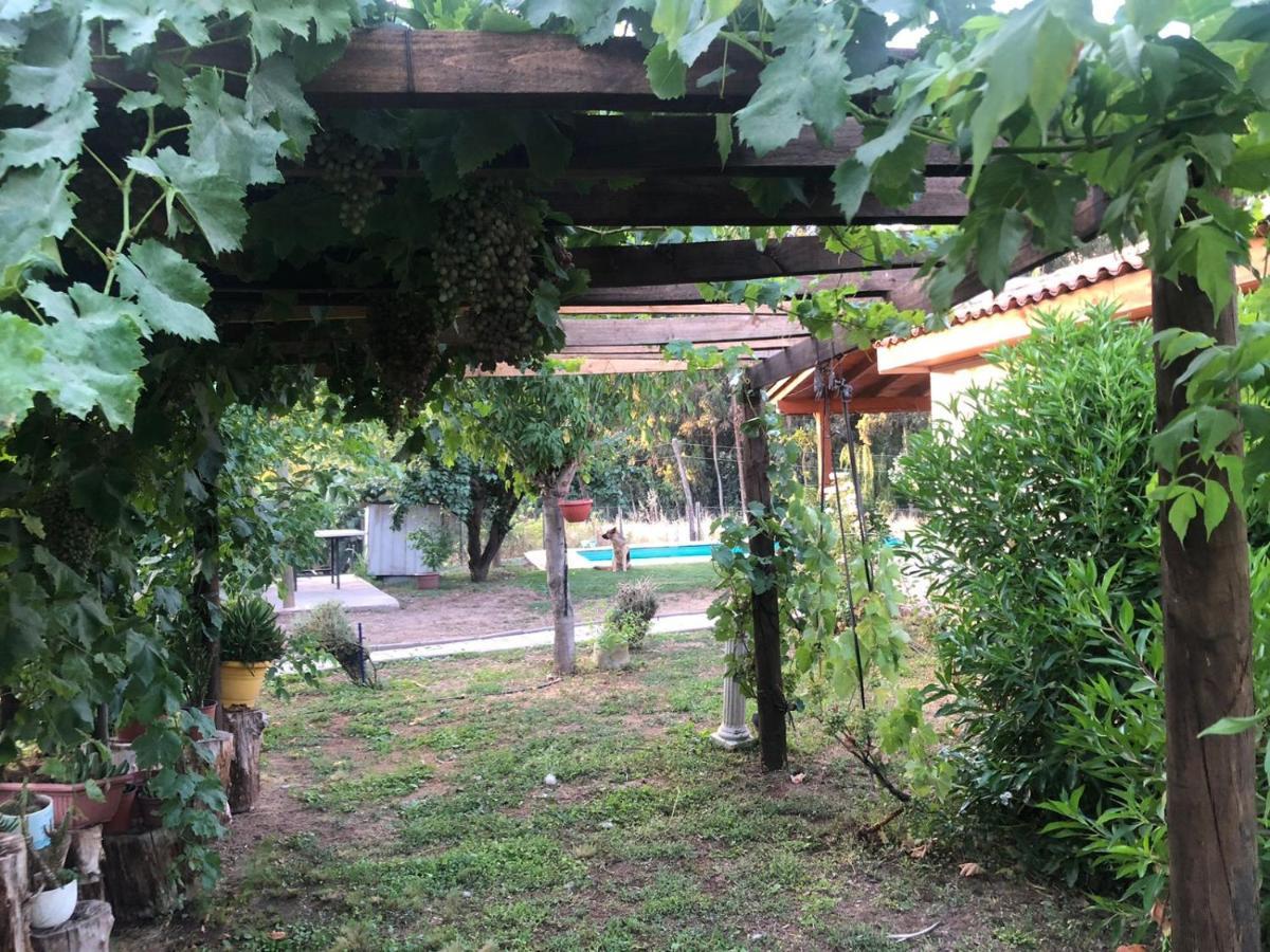 Alojamiento Los Nogales Santa Cruz Esterno foto